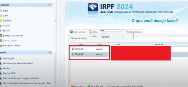 MEU CPF DECLARACAO EM PROCEDIMENTOS IRPF 2024